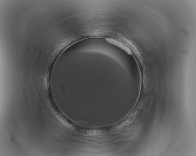 X0000111020105200906261549