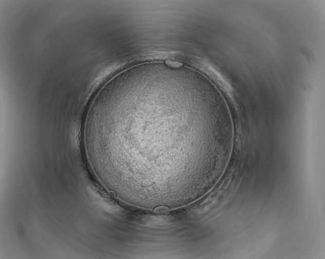 X0000111020107200906261549