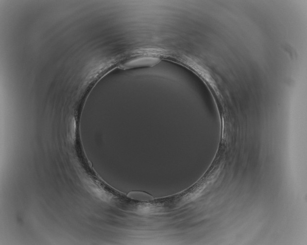 X0000111020109200906261549