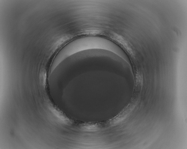 X0000111020110200906261549