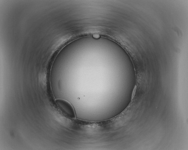 X0000111020112200906261549