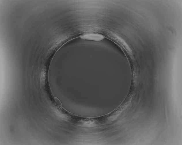 X0000111020113200906261548