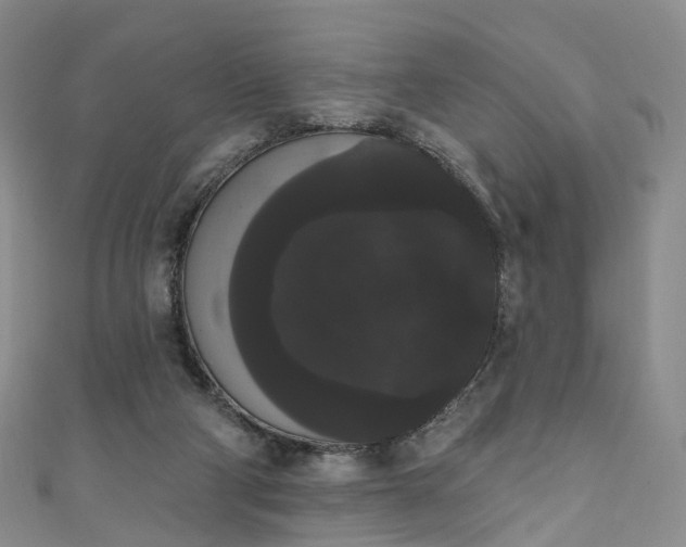 X0000111020114200906261548
