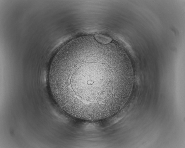 X0000111020115200906261548