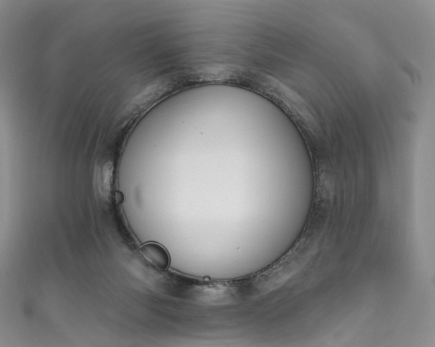 X0000111020118200906261548