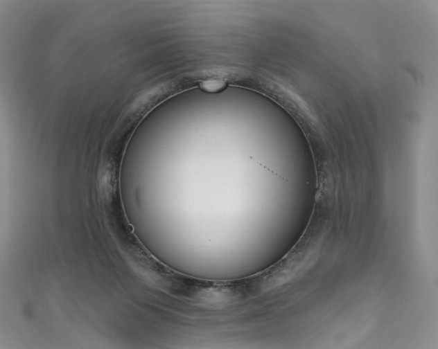 X0000111020119200906261548