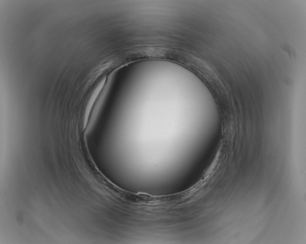 X0000111020120200906261548