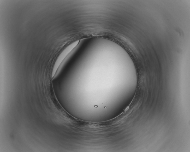 X0000111020121200906261548