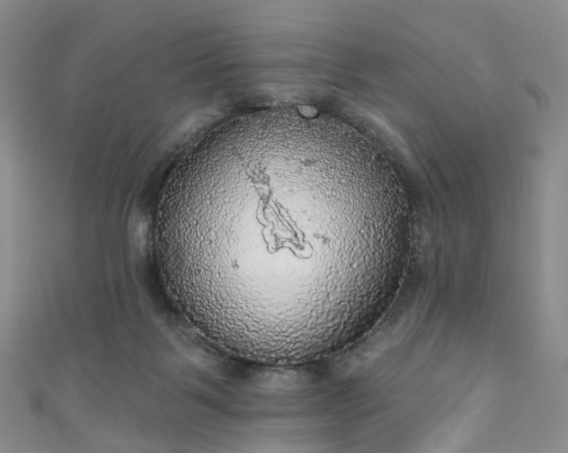 X0000111020123200906261548