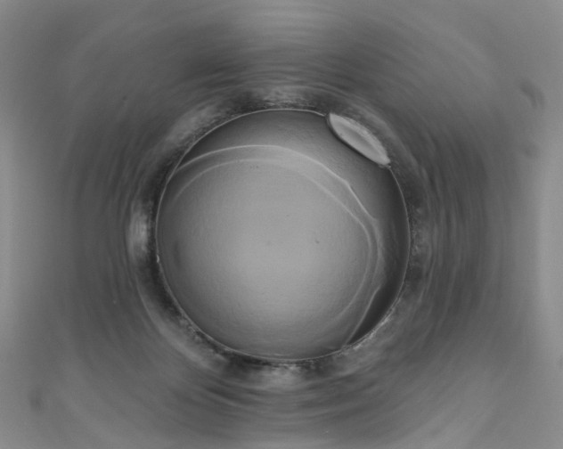 X0000111020124200906261548