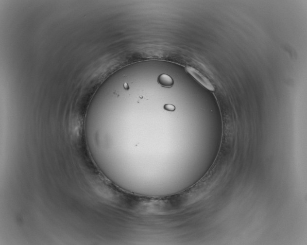 X0000111020125200906261548