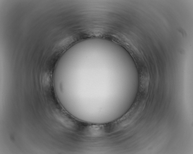 X0000111020126200906261548