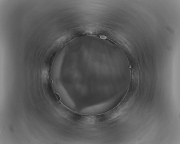 X0000111020127200906261548