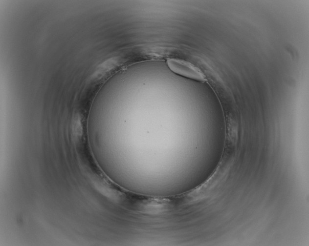 X0000111020128200906261548