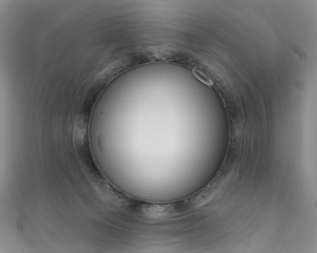 X0000111020129200906261548