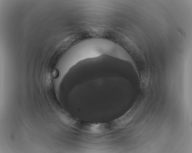 X0000111020130200906261548