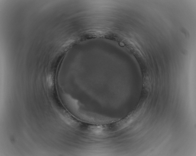 X0000111020131200906261548