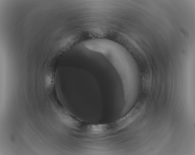 X0000111020134200906261548