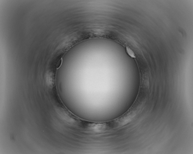 X0000111020135200906261548