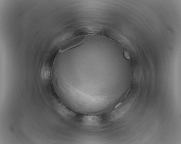 X0000111020137200906261548