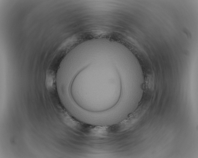 X0000111020138200906261548