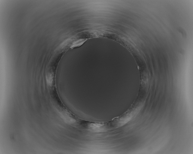 X0000111020139200906261548