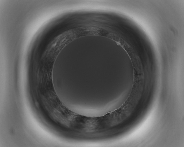 X0000111020143200906261548