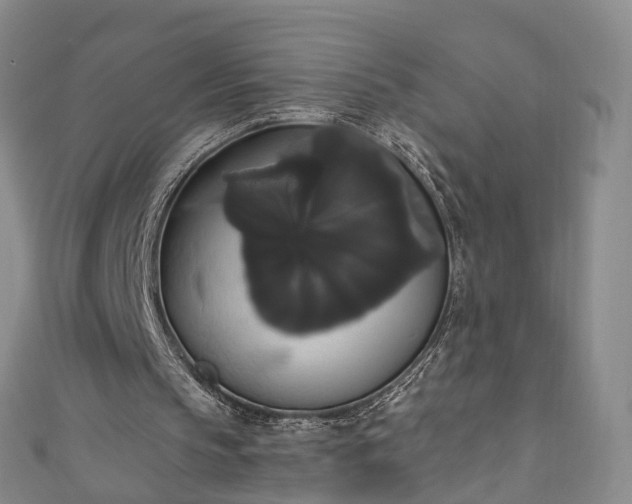X0000111020145200906261547