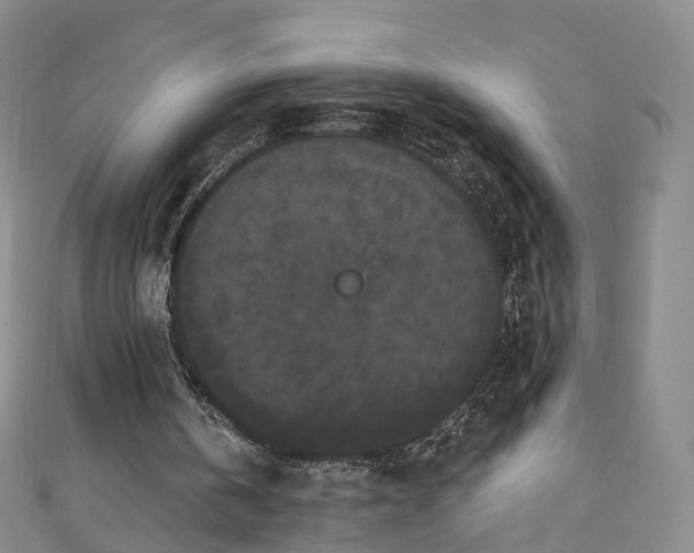 X0000111020146200906261547