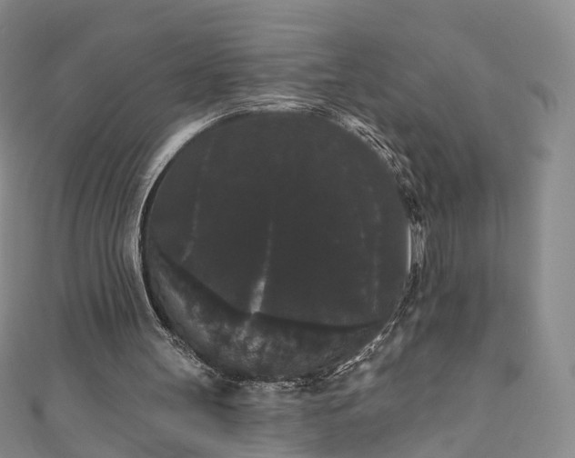 X0000111020147200906261548
