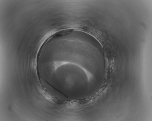 X0000111020148200906261548