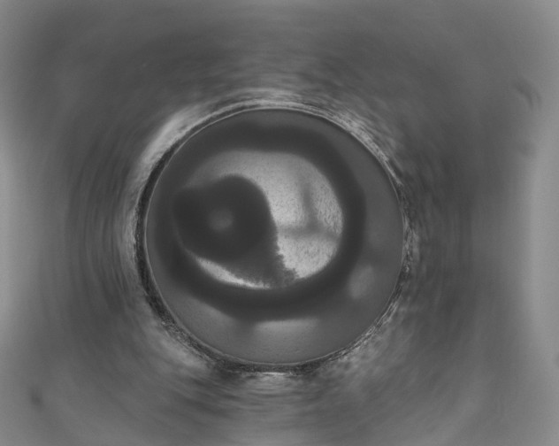 X0000111020151200906261548