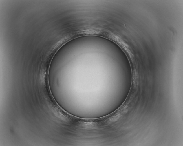 X0000111020153200906261548