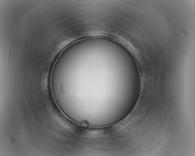 X0000111020155200906261548