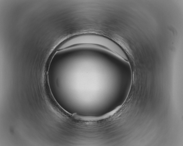 X0000111020156200906261548