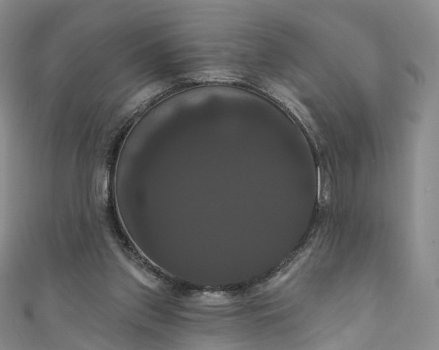 X0000111020157200906261548