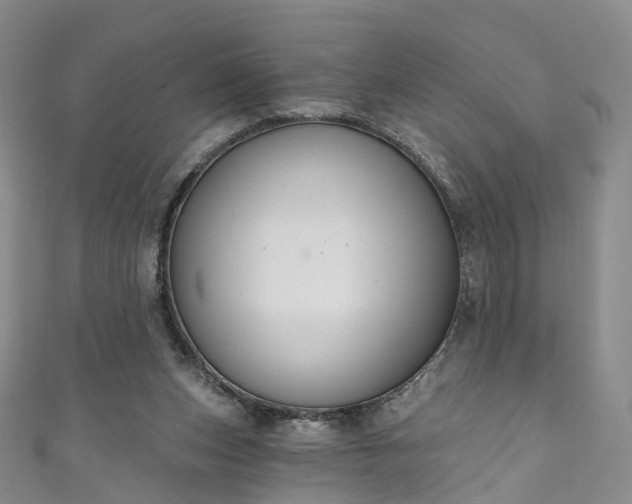 X0000111020159200906261548