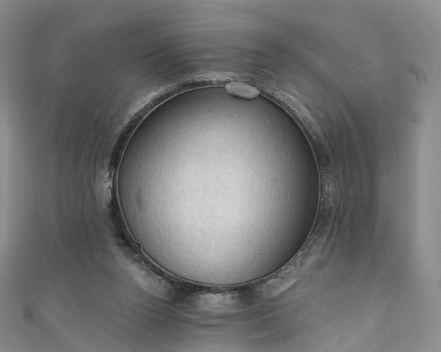 X0000111020160200906261548