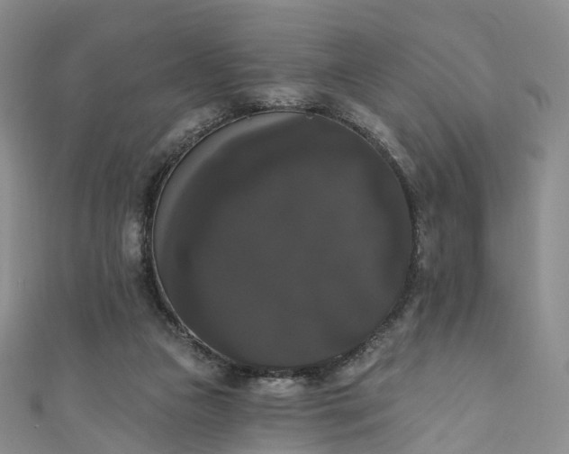 X0000111020161200906261548