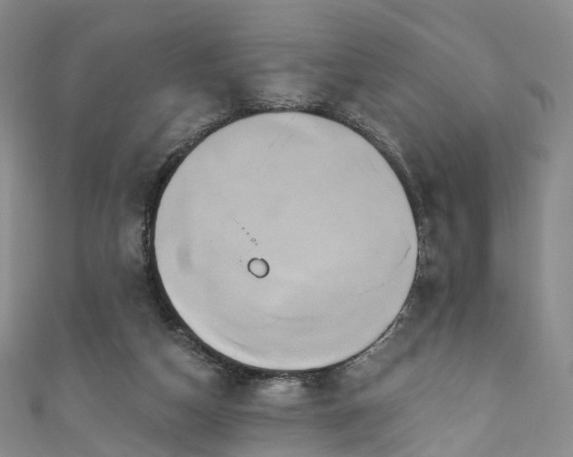 X0000111020162200906261548