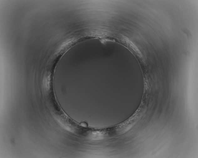 X0000111020163200906261548