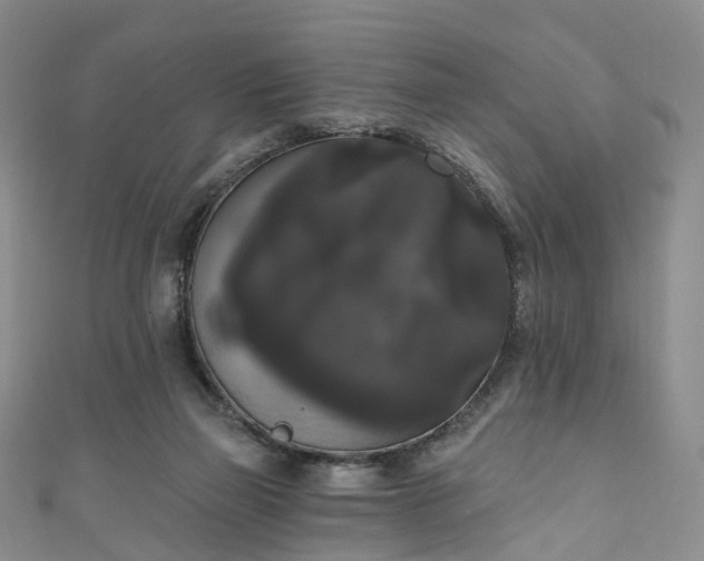 X0000111020165200906261548