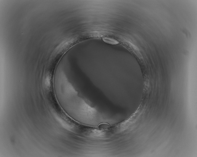 X0000111020166200906261548