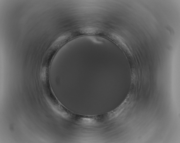 X0000111020167200906261548