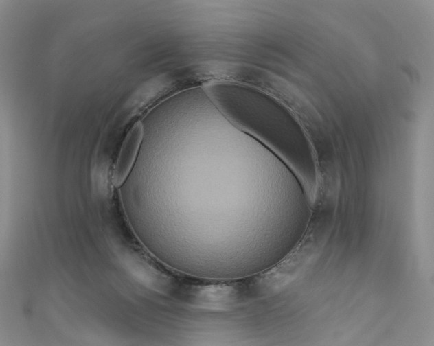 X0000111020168200906261548