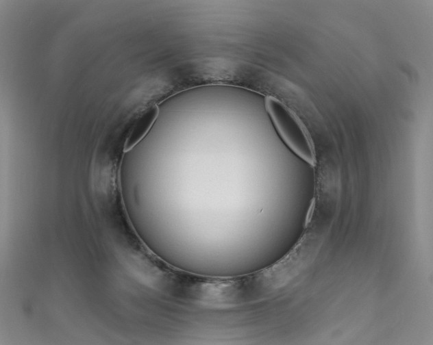 X0000111020172200906261548