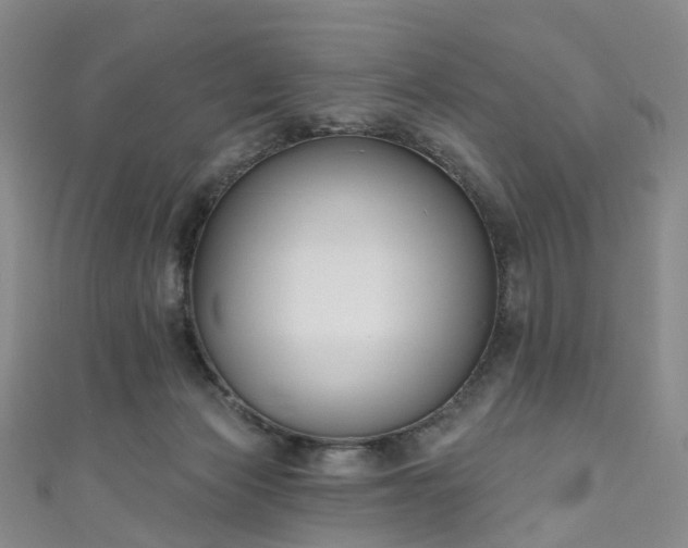 X0000111020173200906261548