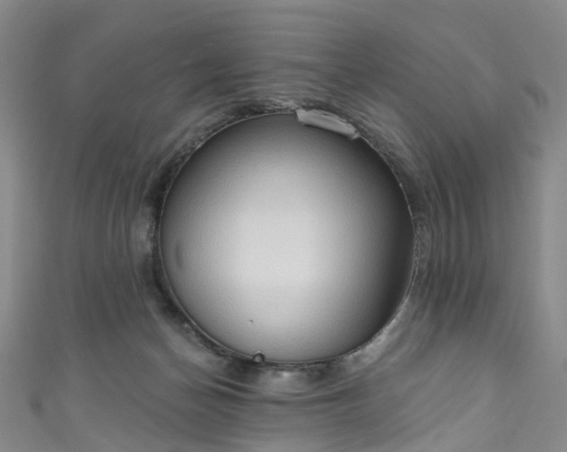 X0000111020174200906261548