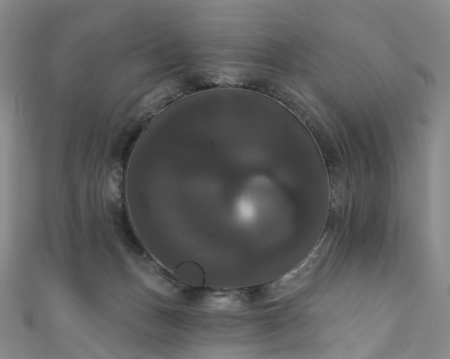 X0000111020175200906261548