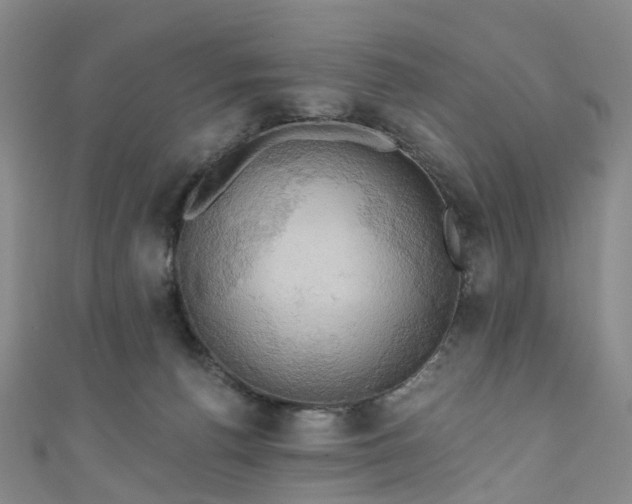 X0000111020176200906261548
